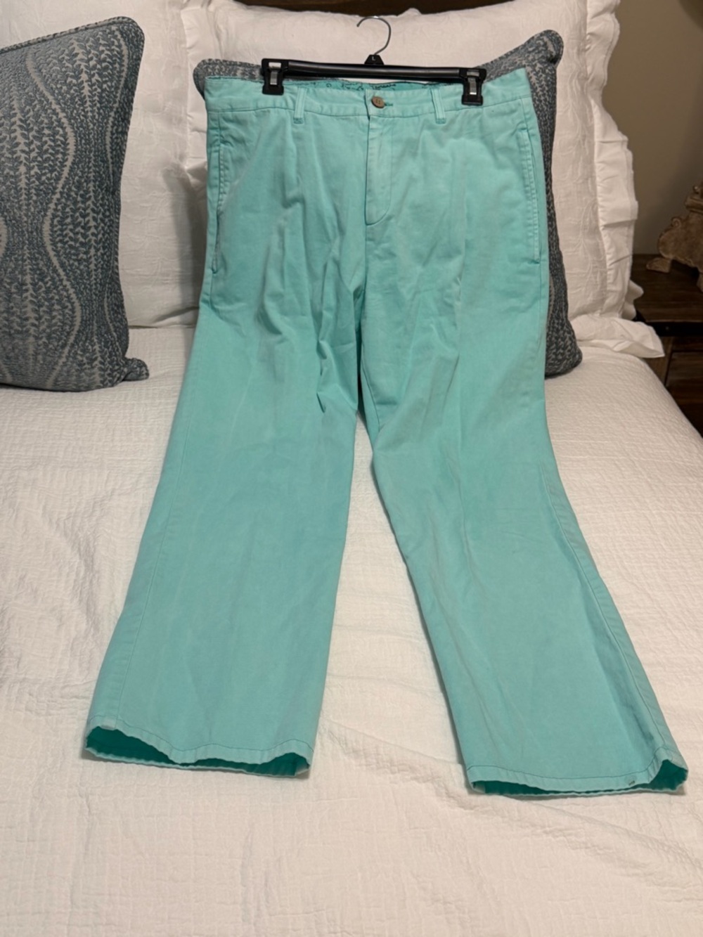 Southern Marsh Teal Cotton Shorts with Map-Print Lining